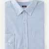 Collis Classic Fit Shirt In Stripe