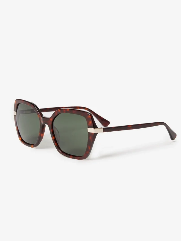 Isola Sunglasses In Tortoise